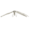 SCULPTURE DRAGONFLY. BOX 319   (W*H) 88*64 cm.  1 pcs.