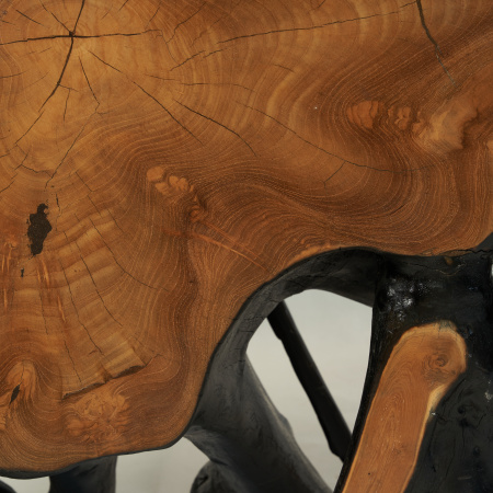 CONSOLE DESIGNED BY NATURE. BOX 281, (L*W*H) 123*42*80 cm., 1 pcs. 