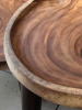 COFFEE TABLE, SINGLE PIECE OF WOOD, DESIGNED BY NATURE. BOX 402, ( L*H) 96*72 cm., 1 pcs.